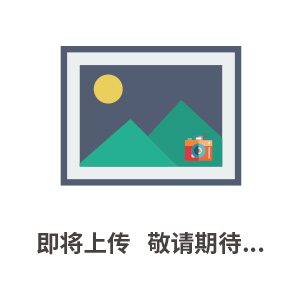 高精度步进伺服角位台